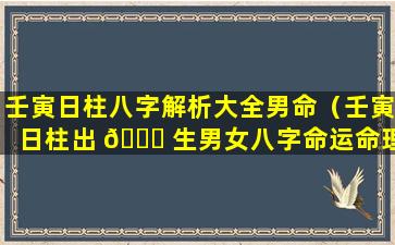 壬寅日柱八字解析大全男命（壬寅日柱出 🐟 生男女八字命运命理师念鲜）